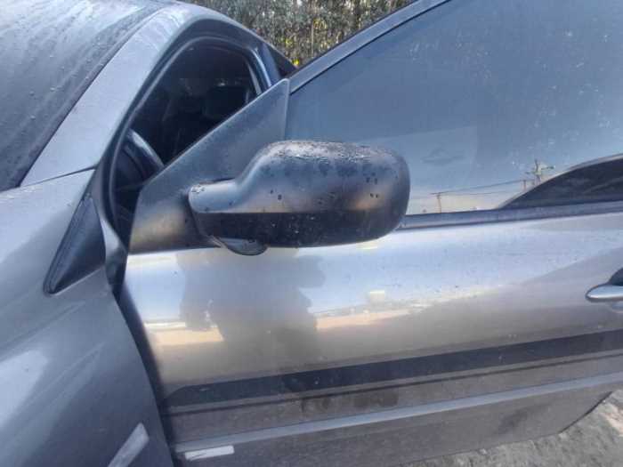 WhatsApp Image 2025-11-27 at 8.41.06 AM (1).jpg